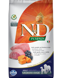 FARMINA N&D Pumpkin lamb&blueberry Adult Medium Maxi 12 kg ėdalas suaugusiems vidutinių ir didelių veislių šunims + 3 x FARMINA N&D Pumpkin Dental Treat Lamb Blueberry Mini 60 g (7 vnt.) DOVANŲ!